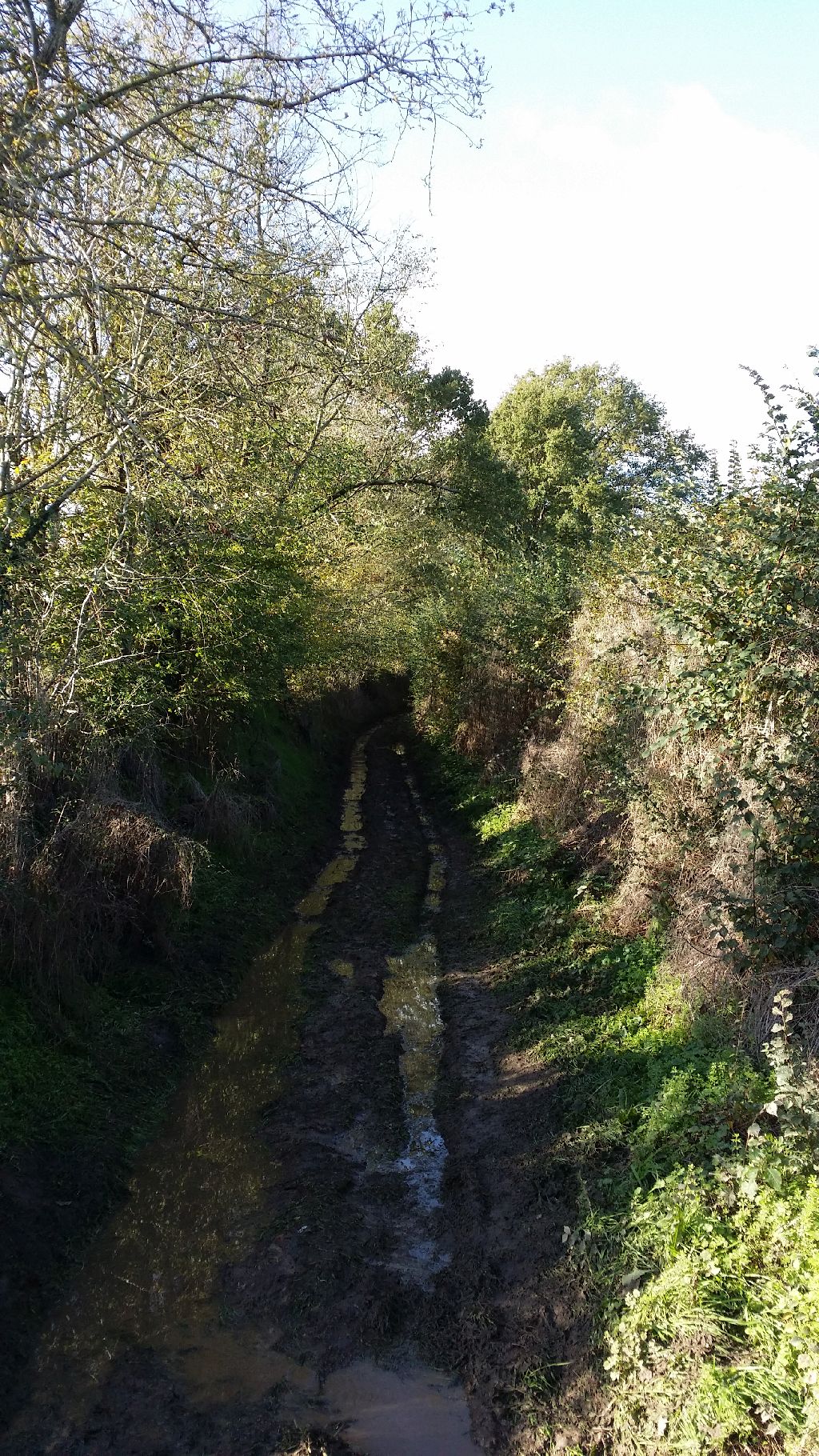 Le moulin douet